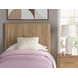 Dayella Warm Natural Brown Twin Platform Bed