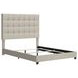 Dolante Contemporary Beige Queen Upholstered Panel Bed