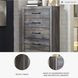 Drystan 5 Drawer Chest