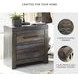 Drystan 2 Drawer Nightstand with USB Charging Ports