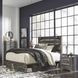 Drystan Queen Panel Bed with Dual Side Storage Drawers