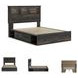 Drystan Queen Bookcase Bed with Dual Side Storage Drawers