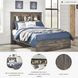 Drystan Full Bookcase Bed
