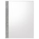 Paradox Gray Mirror