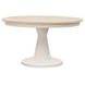 Echo Isles Sea Pearl and Driftwood 72" Extendable Oval Dining Table