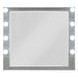 Sliverfluff Silver and Champagne Rectangular Dresser Mirror with LED
