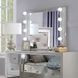 Sliverfluff Silver and Champagne Rectangular Dresser Mirror with LED