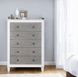 Katia Rustic Gray and Weathered White 5 Drawer Chest