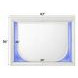 Tarian Pearl White Rectangular Dresser Mirror with LED