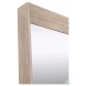 Bevel Natural Gray Mirror