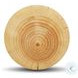 Aliza Natural Pine End Table