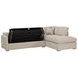 Clara Gray 112" Slim Arm Sleeper Queen RAF Sectional