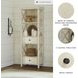 Bolanburg White and Gray Display Cabinet
