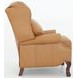 Danbury Santa Fe Brandy Leather Push Thru The Arms Recliner