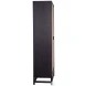 Royett Antique Black And Natural Rattan Door Panels Cabinet