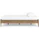 Deanlow Honey Queen Platform Bed