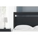Finch Matte Black Queen Panel Headboard