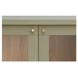 Hannah Green 2 Door Cabinet