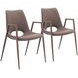 Desi Brown and Walnut Dining Chair Set of 2