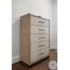 Vista Verde Muted Earth Tones and Clay Woven 5 Drawer Chest