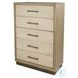 Vista Verde Muted Earth Tones and Clay Woven 5 Drawer Chest