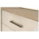 Vista Verde Muted Earth Tones and Clay Woven 5 Drawer Chest