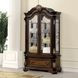 Leovanni Dark Brown Curio Cabinet with LED Light