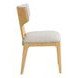 Caerwys Beige and Natural Upholstered Side Chair Set of 2