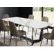 Norelli Silver and White Rectangular Dining Room Set