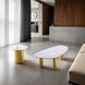 Northwich White and Matte Gold Rectangular Sintered Stone Top Cocktail Table