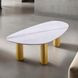 Northwich White and Matte Gold Rectangular Sintered Stone Top Cocktail Table