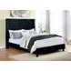 Ryleigh Black Queen Upholstered Platform Bed