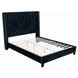 Ryleigh Black Queen Upholstered Platform Bed