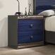 Hartlepool Ash Gray and Indigo Blue 2 Drawer Nightstand