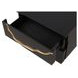 Goldsberg Black and Gold 2 Drawer Nightstand