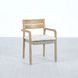 Arden White Upholstered Outdoor Dining Chair Set of 2