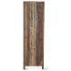 Welles Multicolor Reclaimed Vault Style Tall Cabinet