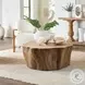 Woods Edge Sierra Brown Coffee Table