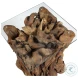 Rozella Natural Brown End Table