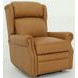 Gabby Santa Fe Brandy Leather Lounge Power Recliner with Power Headrest and Power Lumbar