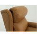 Gabby Santa Fe Brandy Leather Lounge Power Recliner with Power Headrest and Power Lumbar