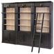 Willow Lane Black 3 Piece Tall Bookcase with Ladder