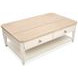Echo Isles Sea Pearl and Driftwood Rectangular Lift Top Cocktail Table