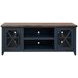 Ithaca Blue and Bourbon 66" TV Stand