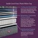 Beautyrest World Class Level Four Plush Pillow Top Queen Size Mattress