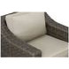 Jones Brown Outdoor Swivel Lounge Chair Set of 2