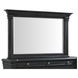 Paterson Black 10 Drawer Dresser and Rectangular Mirror