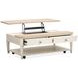 Echo Isles Sea Pearl and Driftwood Rectangular Lift Top Cocktail Table