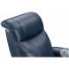 Leighton Marco Navy Blue Power Lift Recliner with Power Headrest And Lumbar