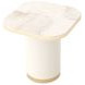 Gineverra Ivory and Gold Rectangular Occassional Table Set